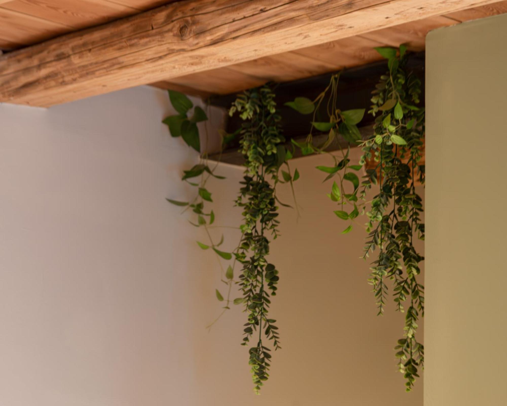 Bacaria Bed&Breakfast Bassano del Grappa Exteriér fotografie